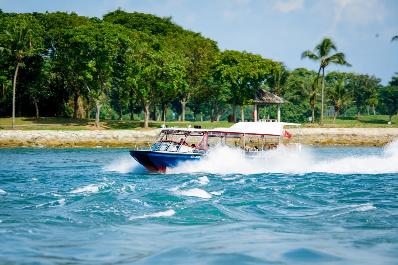 COMBO: Singapore Cable Car + Albatross Hop-On Hop-Off Speedboat Tickets - image 7